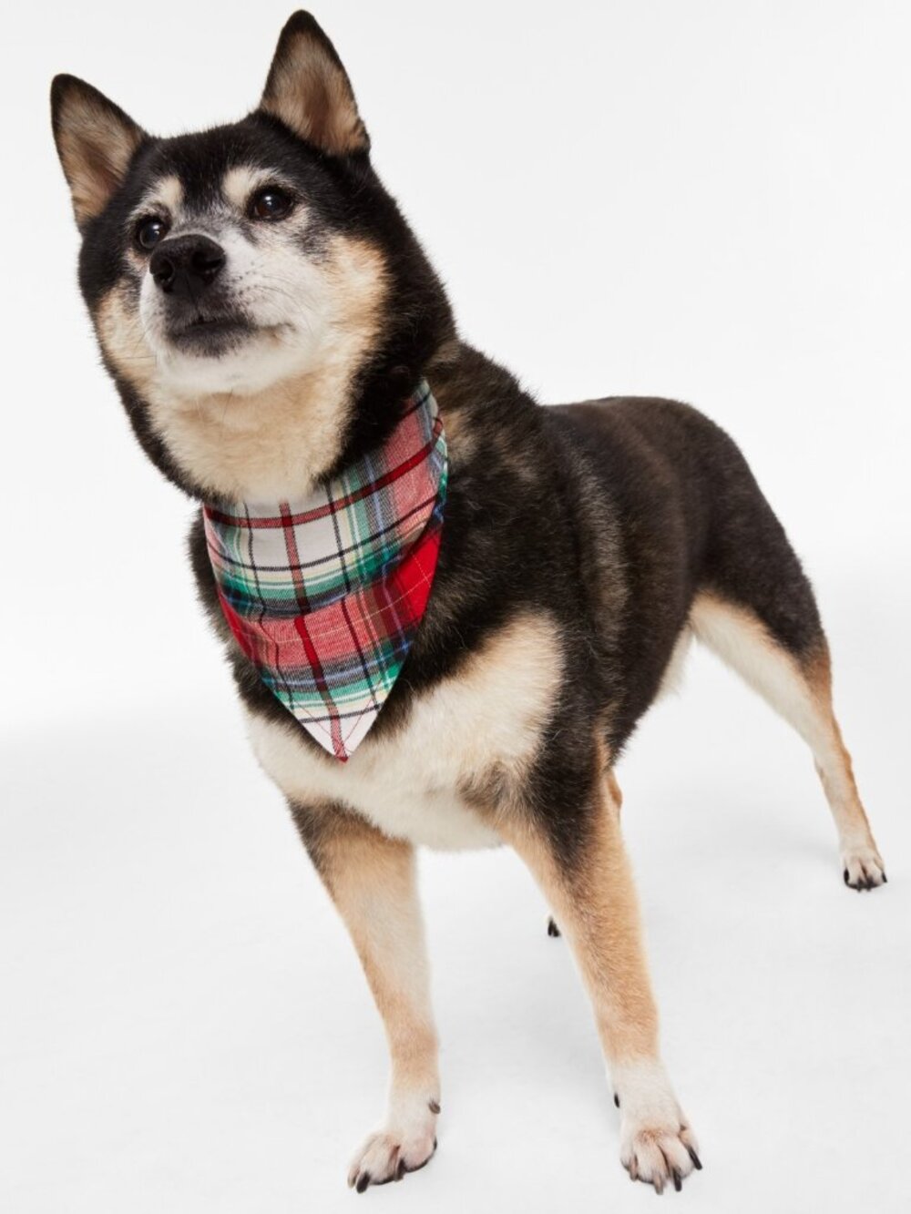 #2098 Holiday Lane Winterton Plaid Matching Family Pet Bandana